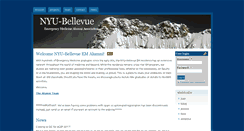 Desktop Screenshot of alumni.nyuem.org